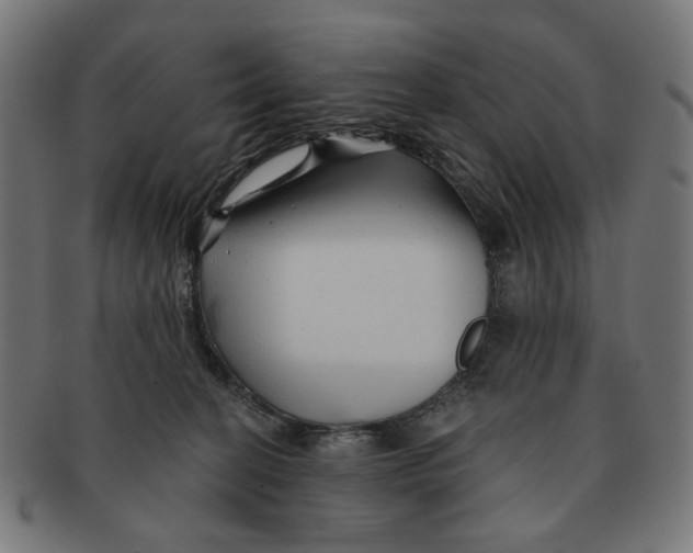 X0000091230274200709061525