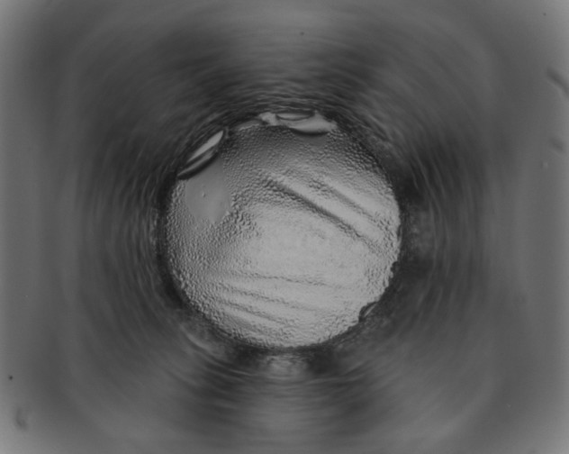 X0000091230275200709061525