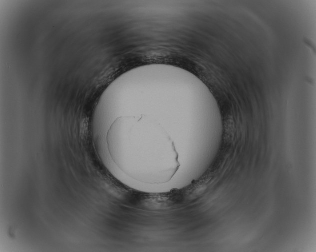 X0000091230278200709061525