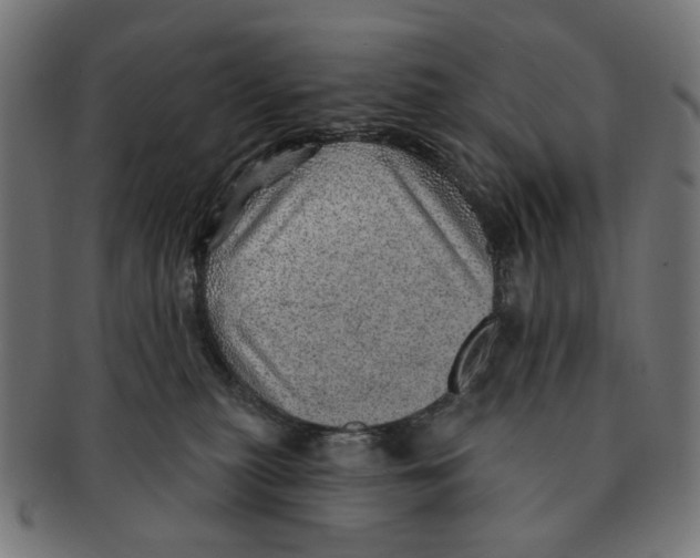 X0000091230279200709061525