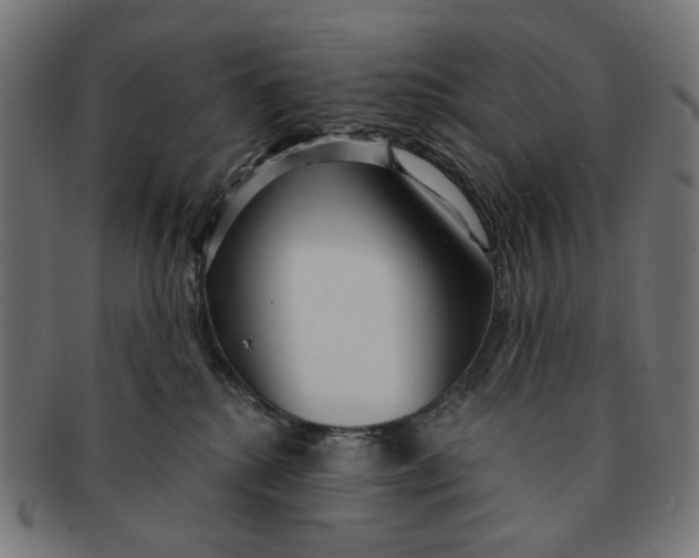 X0000091230280200709061525