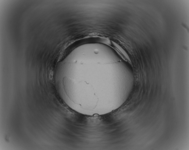 X0000091230281200709061525
