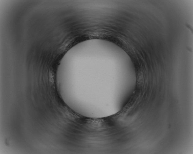 X0000091230282200709061525