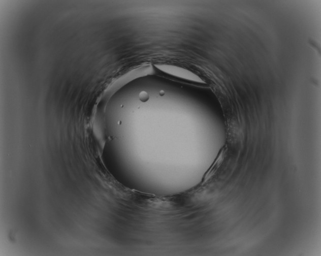 X0000091230284200709061525