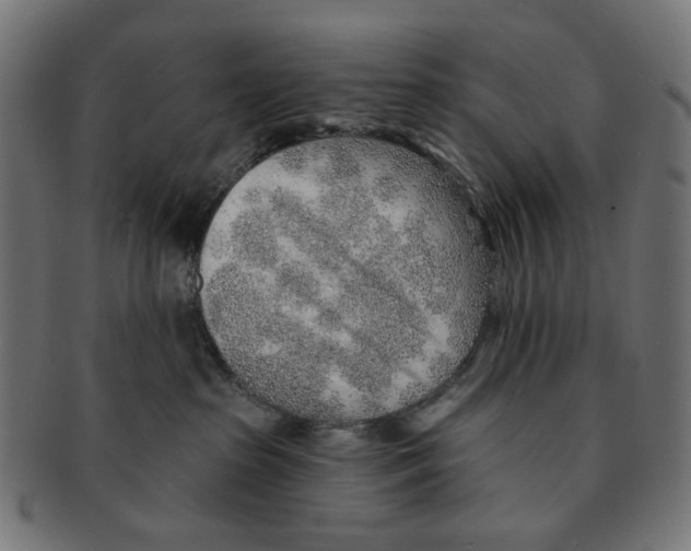 X0000091230285200709061525
