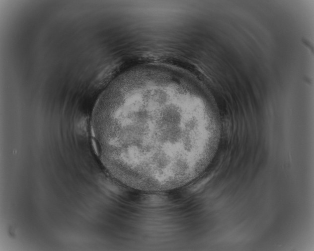 X0000091230286200709061525