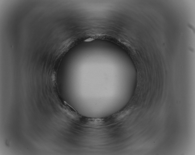 X0000091230288200709061525