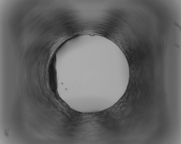 X0000091230289200709061525