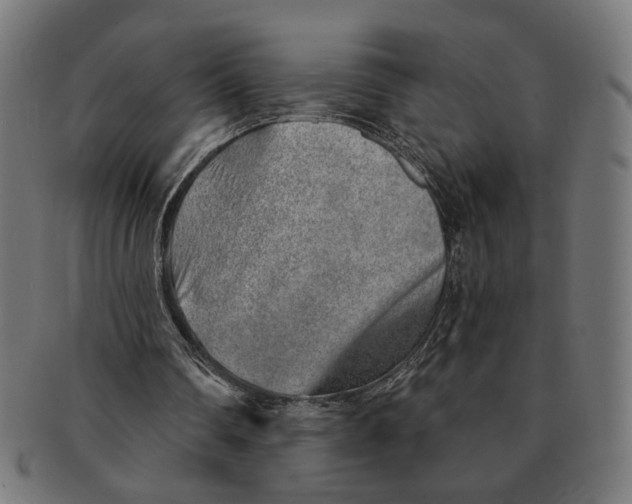 X0000091230290200709061525
