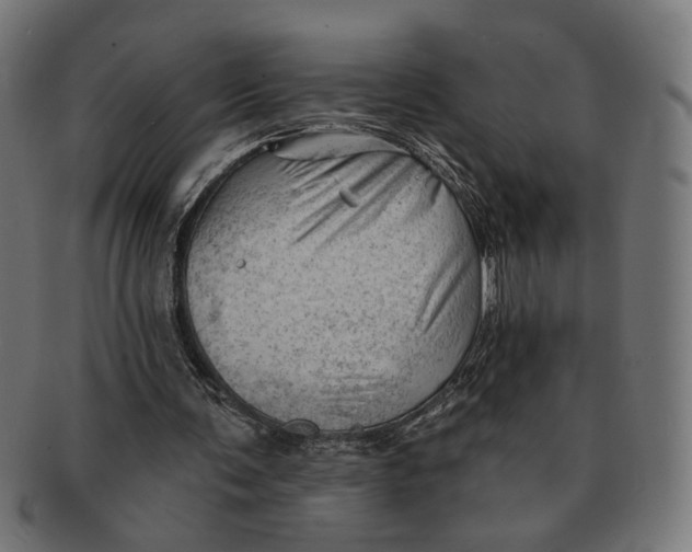 X0000091230291200709061525