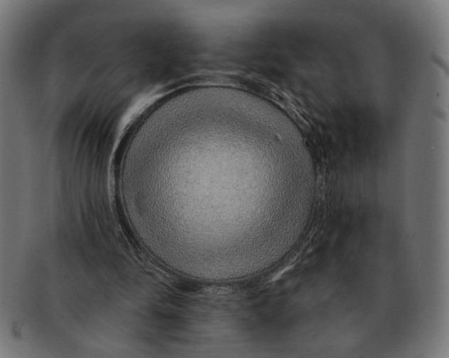 X0000091230294200709061525