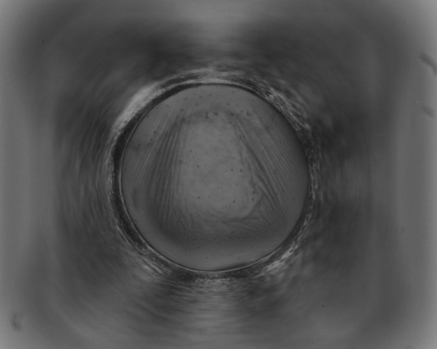 X0000091230295200709061525