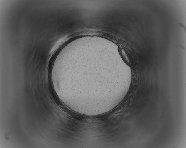 X0000091230296200709061525