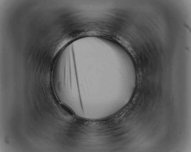 X0000091230297200709061525