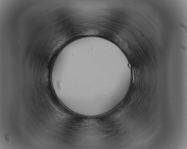 X0000091230300200709061525