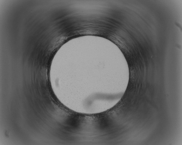 X0000091230302200709061525