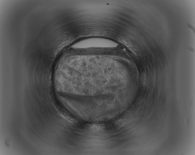 X0000091230303200709061525