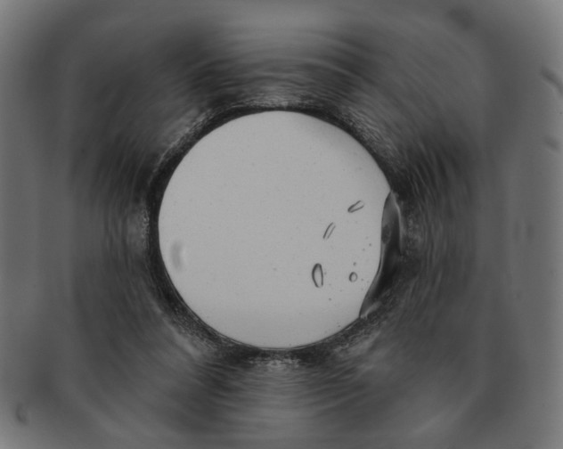 X0000091230304200709061525