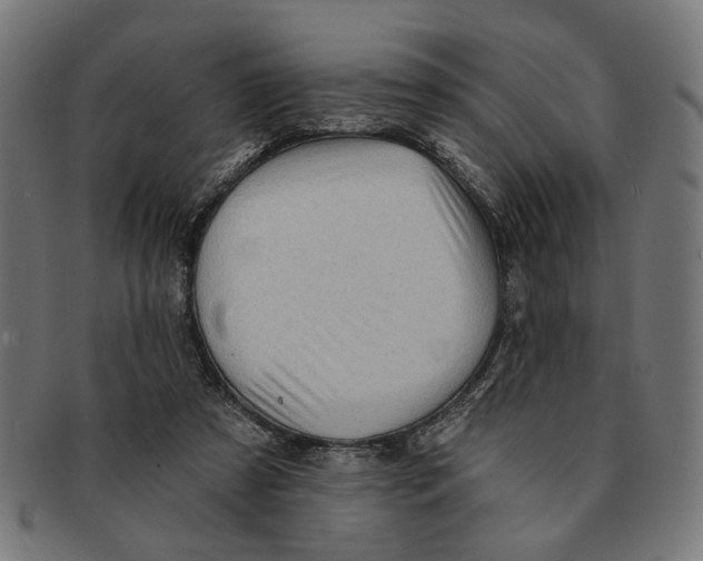 X0000091230305200709061525