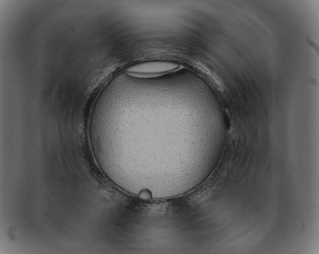 X0000091230306200709061525