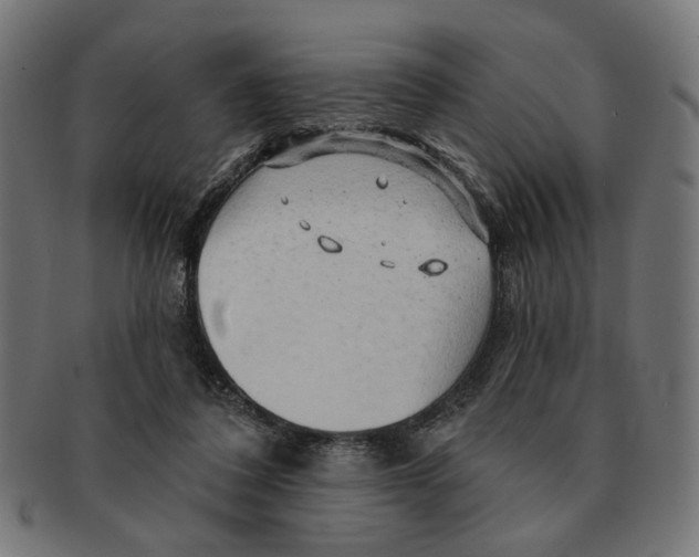 X0000091230308200709061525