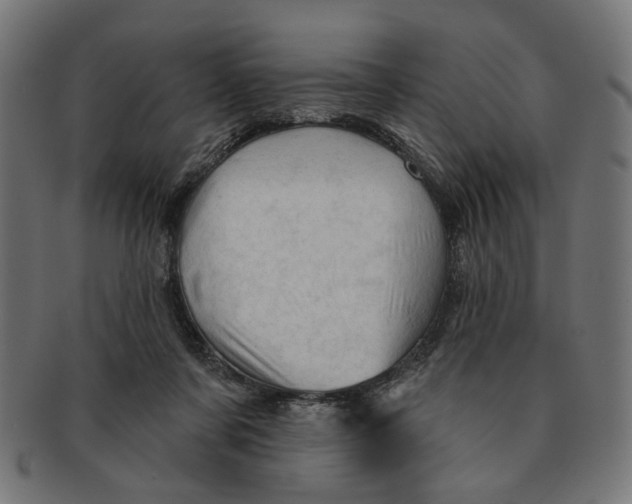 X0000091230311200709061525