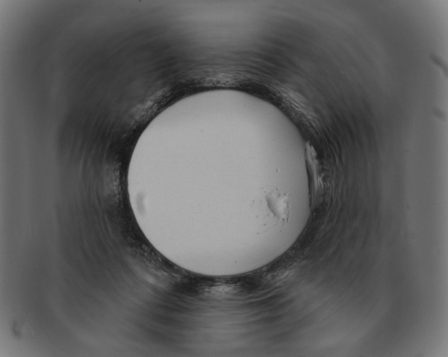 X0000091230312200709061525
