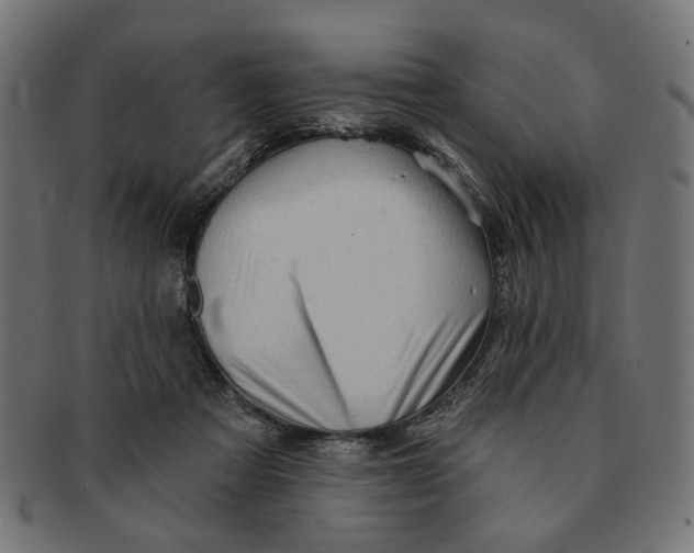 X0000091230313200709061525