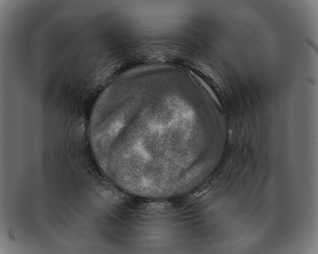 X0000091230314200709061525