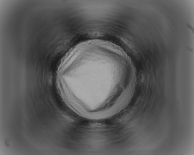 X0000091230315200709061524