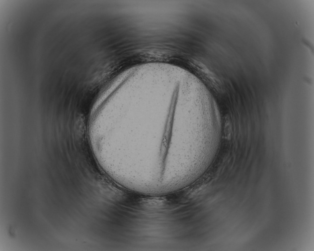 X0000091230318200709061524