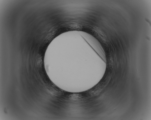 X0000091230320200709061524