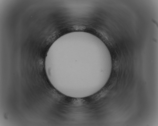 X0000091230321200709061524