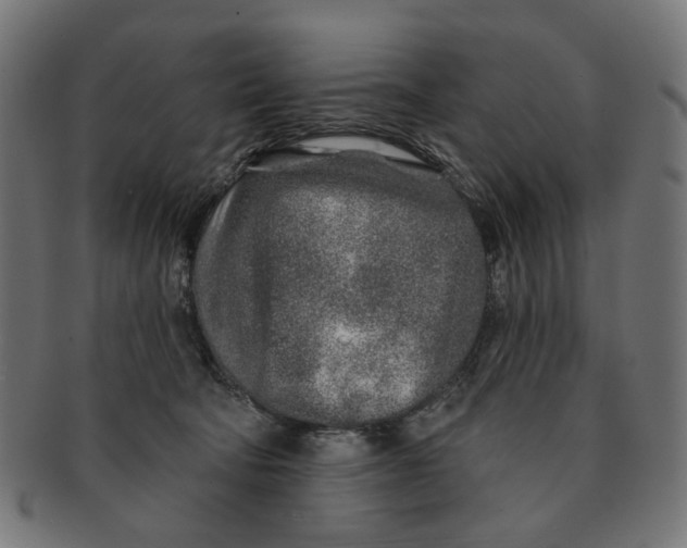 X0000091230322200709061524