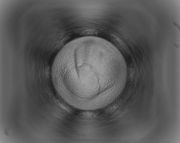 X0000091230326200709061524
