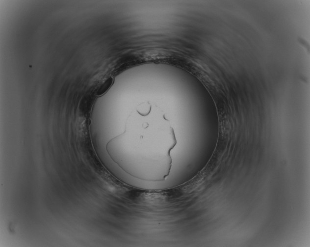 X0000091230327200709061524