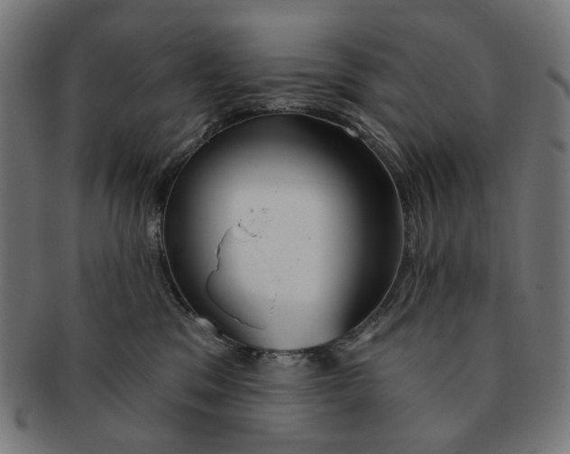 X0000091230329200709061524