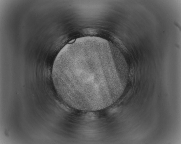 X0000091230330200709061524