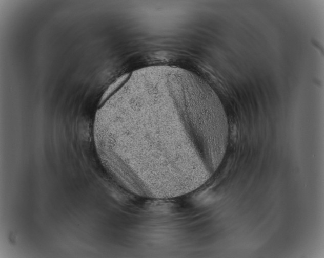 X0000091230331200709061524