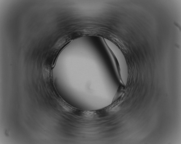X0000091230333200709061524