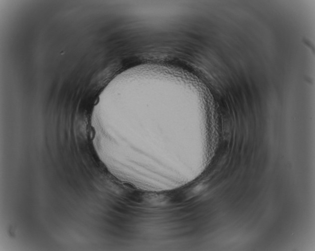 X0000091230334200709061524