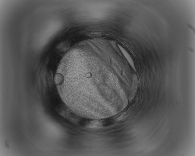 X0000091230335200709061524