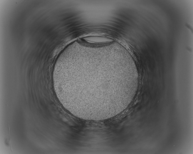 X0000091230337200709061524
