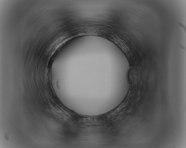X0000091230338200709061524