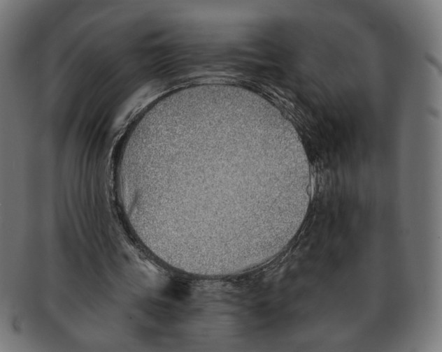 X0000091230339200709061524