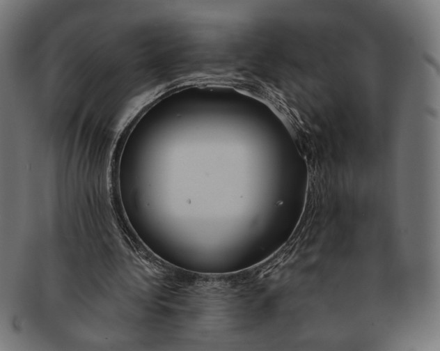 X0000091230340200709061524