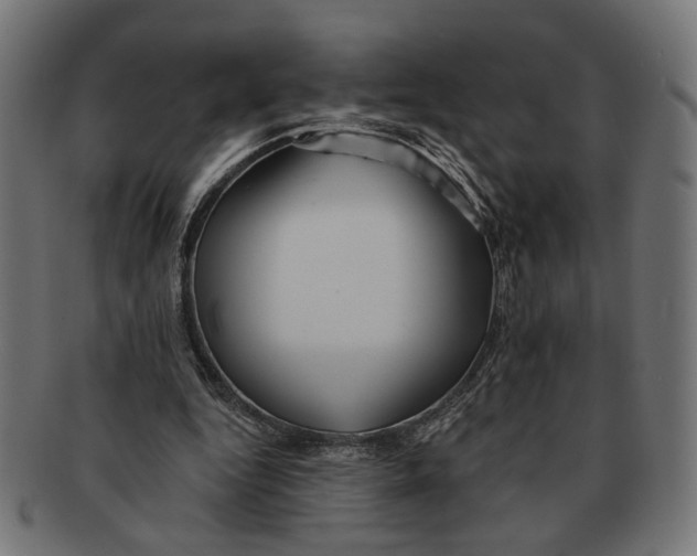 X0000091230344200709061524