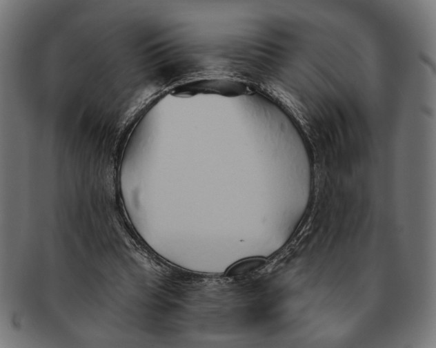 X0000091230345200709061524