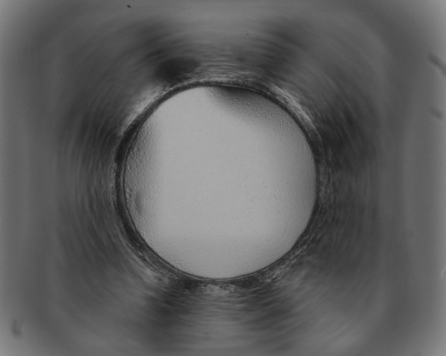 X0000091230346200709061524