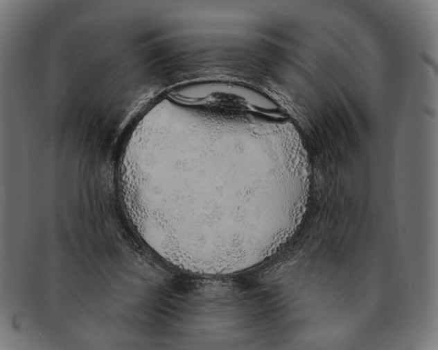 X0000091230347200709061524